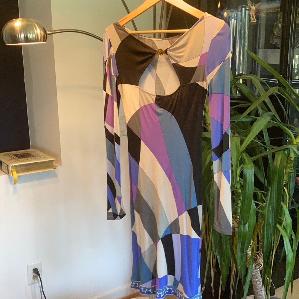 Pucci Dress